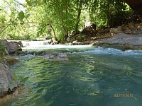Fossil Creek