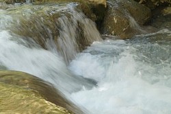Fossil creek